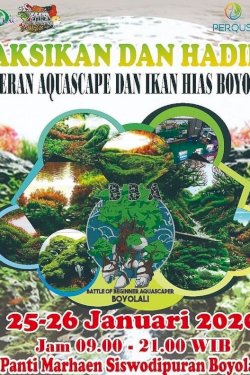 Pameran Aquascape dan Ikan Hias Boyolali