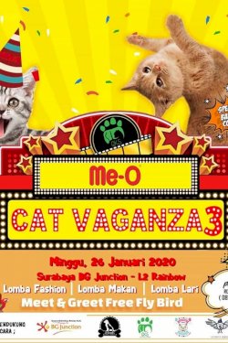 Me-O Cat Vaganza 3